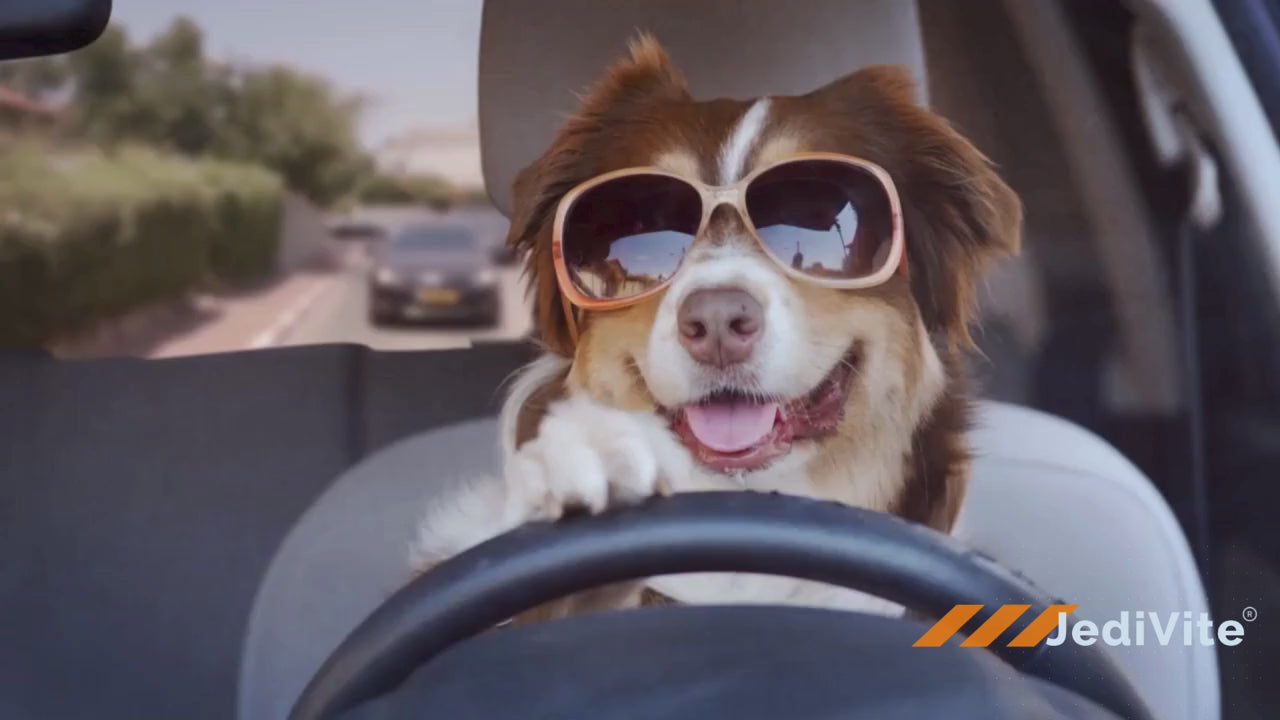 Load and play video in Gallery viewer, JediVite® Immunity Gummies
